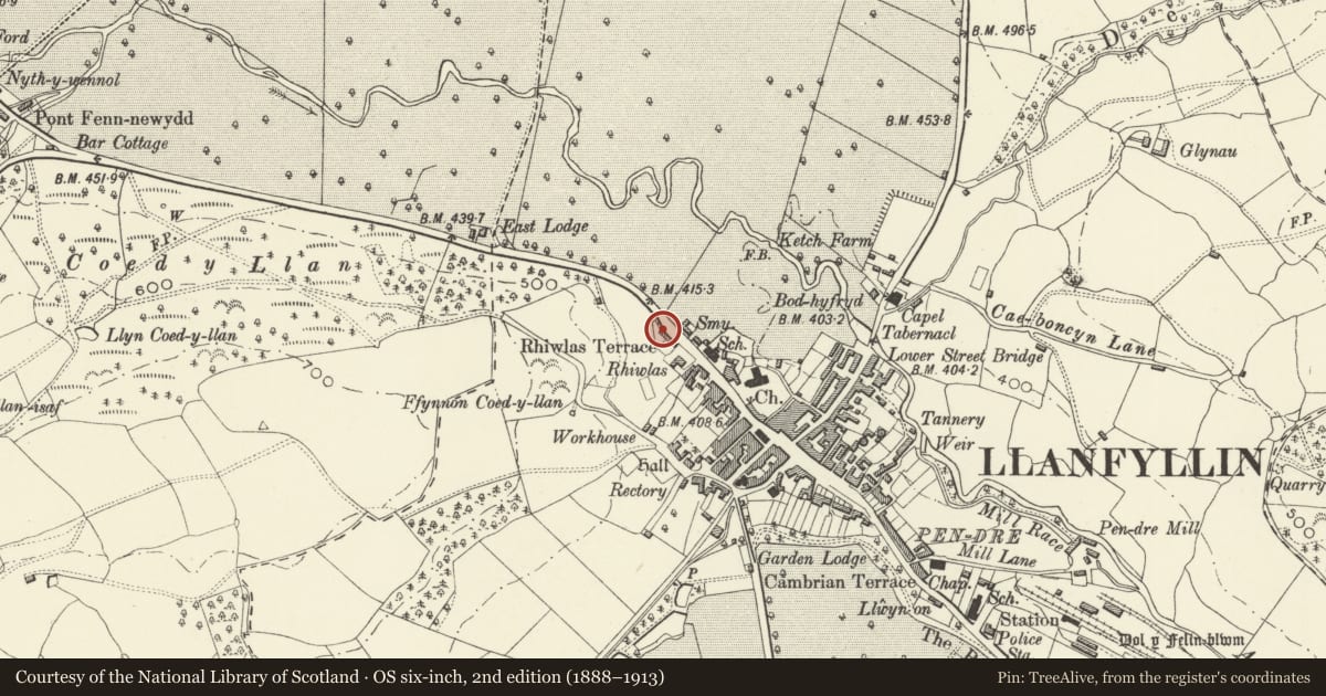 Ordnance Survey six-inch map, 2nd edition (1888–1913) covering the location of Rhiwlas Terrace, Llanfyllin, Powys, with a pin at the register's coordinates