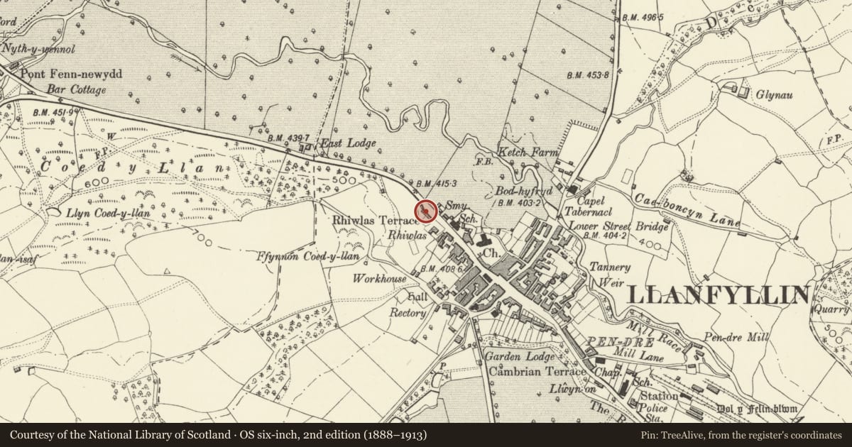 Ordnance Survey six-inch map, 2nd edition (1888–1913) covering the location of Rhiwlas Terrace, Llanfyllin, Powys, with a pin at the register's coordinates