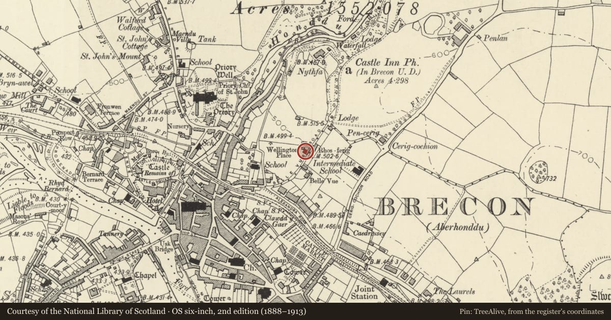 Ordnance Survey six-inch map, 2nd edition (1888–1913) covering the location of 2 Wellington Place, Brecon, Powys, with a pin at the register's coordinates