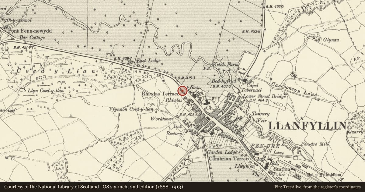 Ordnance Survey six-inch map, 2nd edition (1888–1913) covering the location of Rhiwlas Terrace, Llanfyllin, Powys, with a pin at the register's coordinates