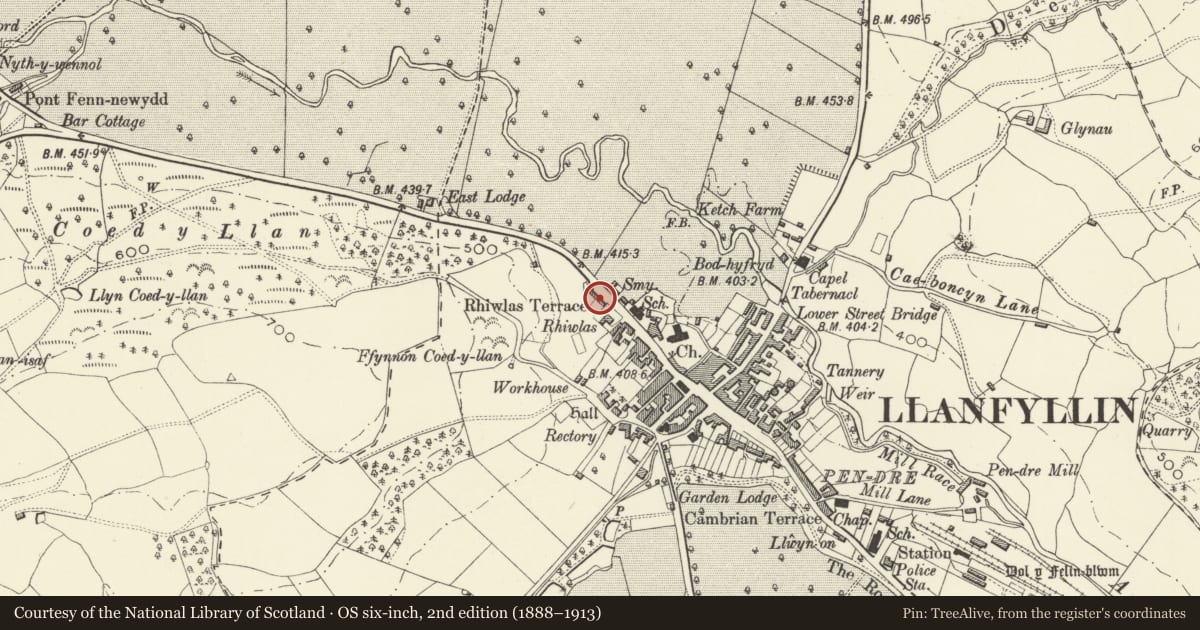 Ordnance Survey six-inch map, 2nd edition (1888–1913) covering the location of Rhiwlas Terrace, Llanfyllin, Powys, with a pin at the register's coordinates