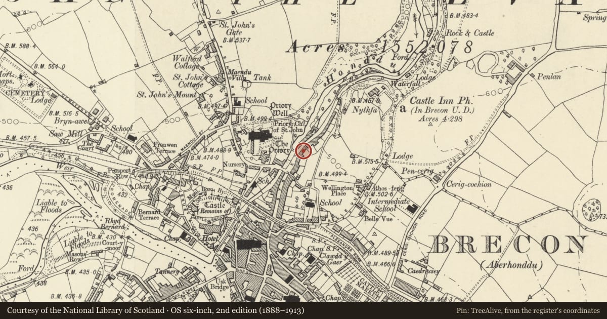 Ordnance Survey six-inch map, 2nd edition (1888–1913) covering the location of 39 The Struet, Brecon, Powys, with a pin at the register's coordinates