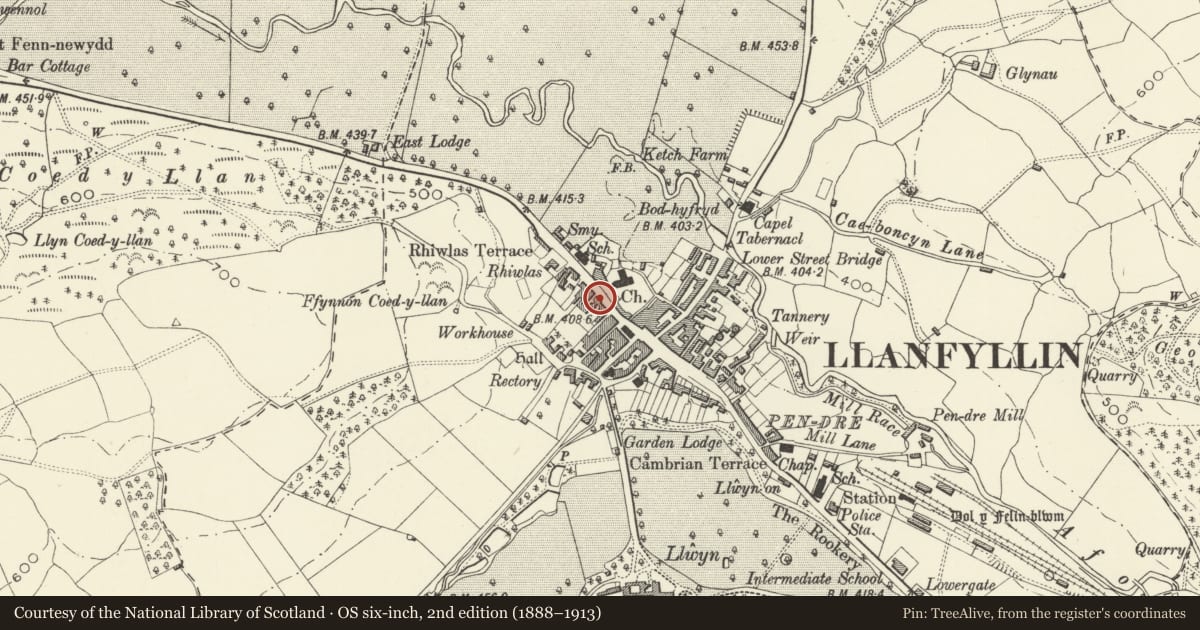 Ordnance Survey six-inch map, 2nd edition (1888–1913) covering the location of 24 High Street (Y dderwen Werdd), Llanfyllin, Powys, with a pin at the register's coordinates