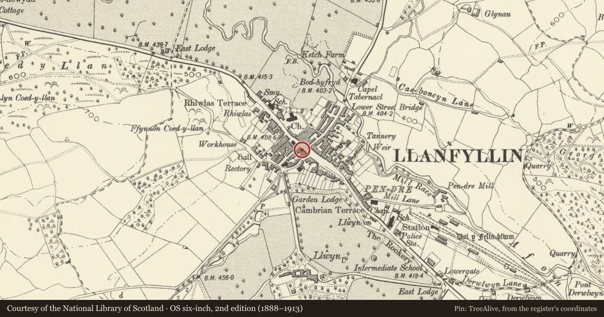 Ordnance Survey six-inch map, 2nd edition (1888–1913) covering the location of 45 High Street, Llanfyllin, Powys, with a pin at the register's coordinates