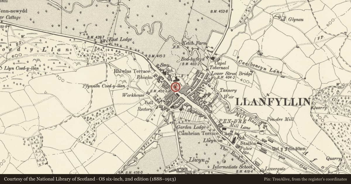 Ordnance Survey six-inch map, 2nd edition (1888–1913) covering the location of Denbigh House, Llanfyllin, Powys, with a pin at the register's coordinates