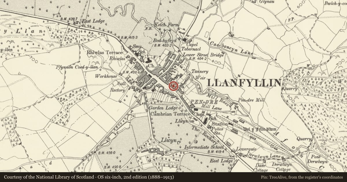 Ordnance Survey six-inch map, 2nd edition (1888–1913) covering the location of Tegfan, Llanfyllin, Powys, with a pin at the register's coordinates