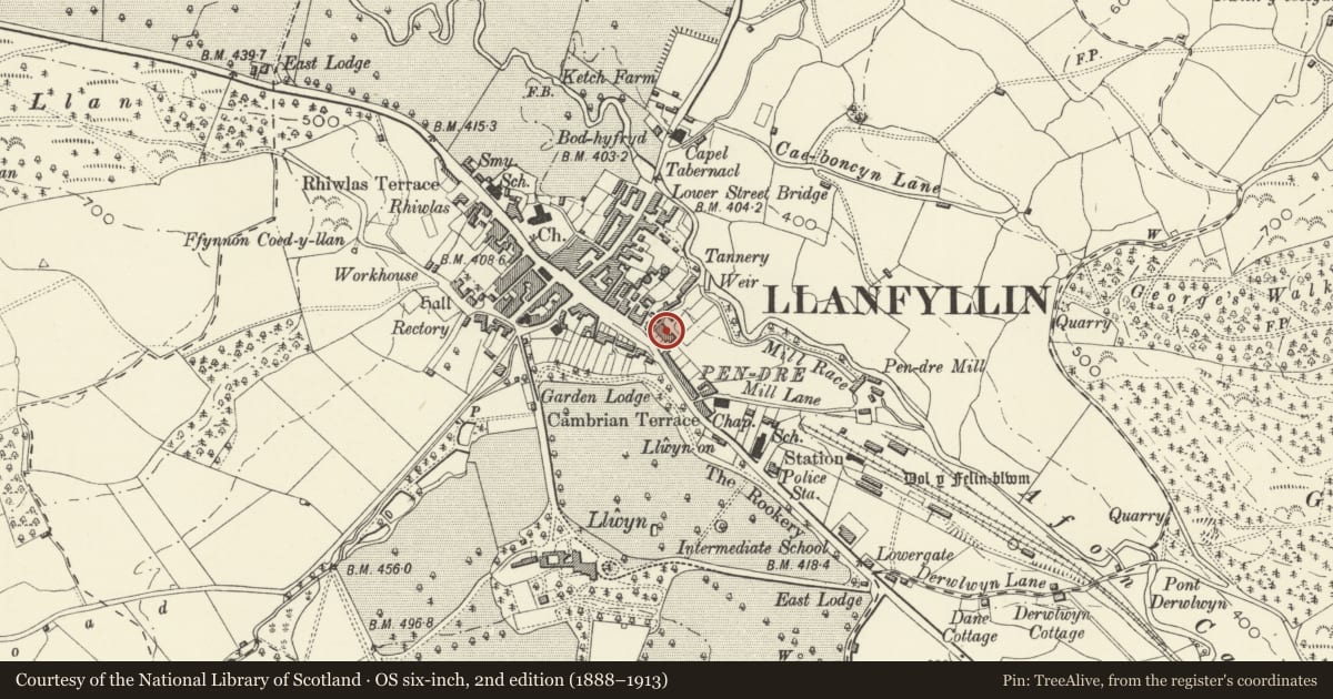 Ordnance Survey six-inch map, 2nd edition (1888–1913) covering the location of Bryn Glas, Brachie Place, Llanfyllin, Powys, with a pin at the register's coordinates