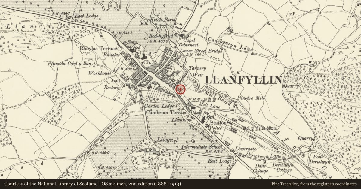 Ordnance Survey six-inch map, 2nd edition (1888–1913) covering the location of Trawscoed, Brachie Place, Llanfyllin, Powys, with a pin at the register's coordinates