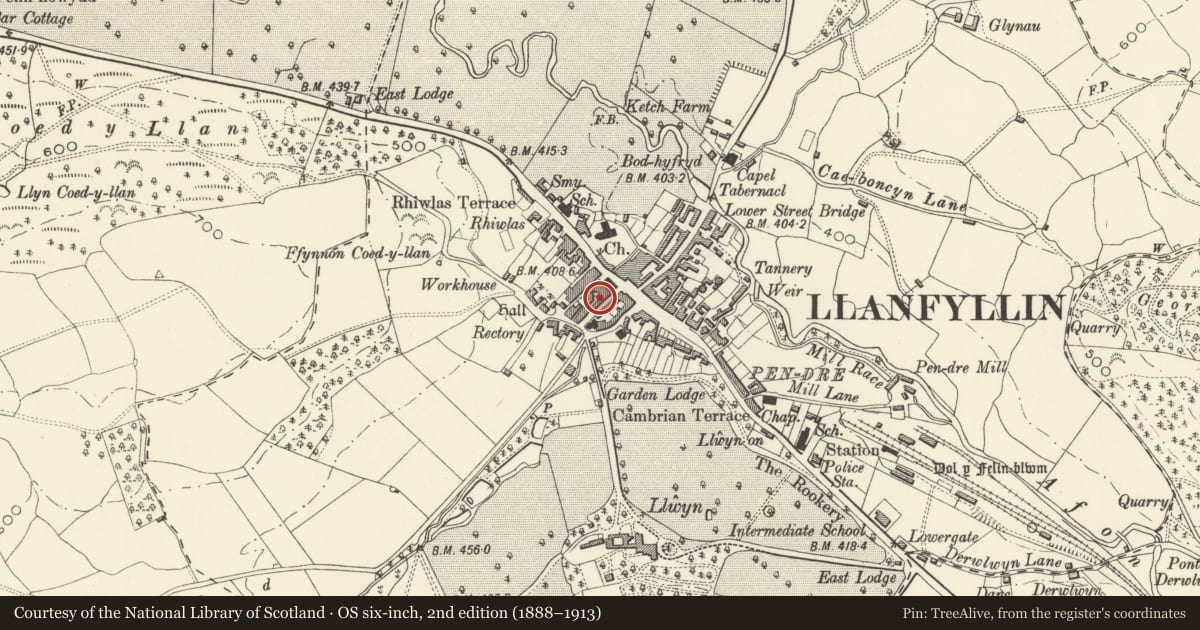 Ordnance Survey six-inch map, 2nd edition (1888–1913) covering the location of 6 Market Street, Llanfyllin, Powys, with a pin at the register's coordinates