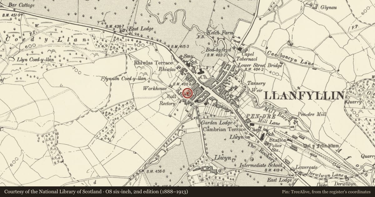 Ordnance Survey six-inch map, 2nd edition (1888–1913) covering the location of 1 Vine Square, Llanfyllin, Powys, with a pin at the register's coordinates