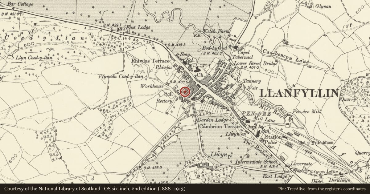 Ordnance Survey six-inch map, 2nd edition (1888–1913) covering the location of 2 Vine Square, Llanfyllin, Powys, with a pin at the register's coordinates