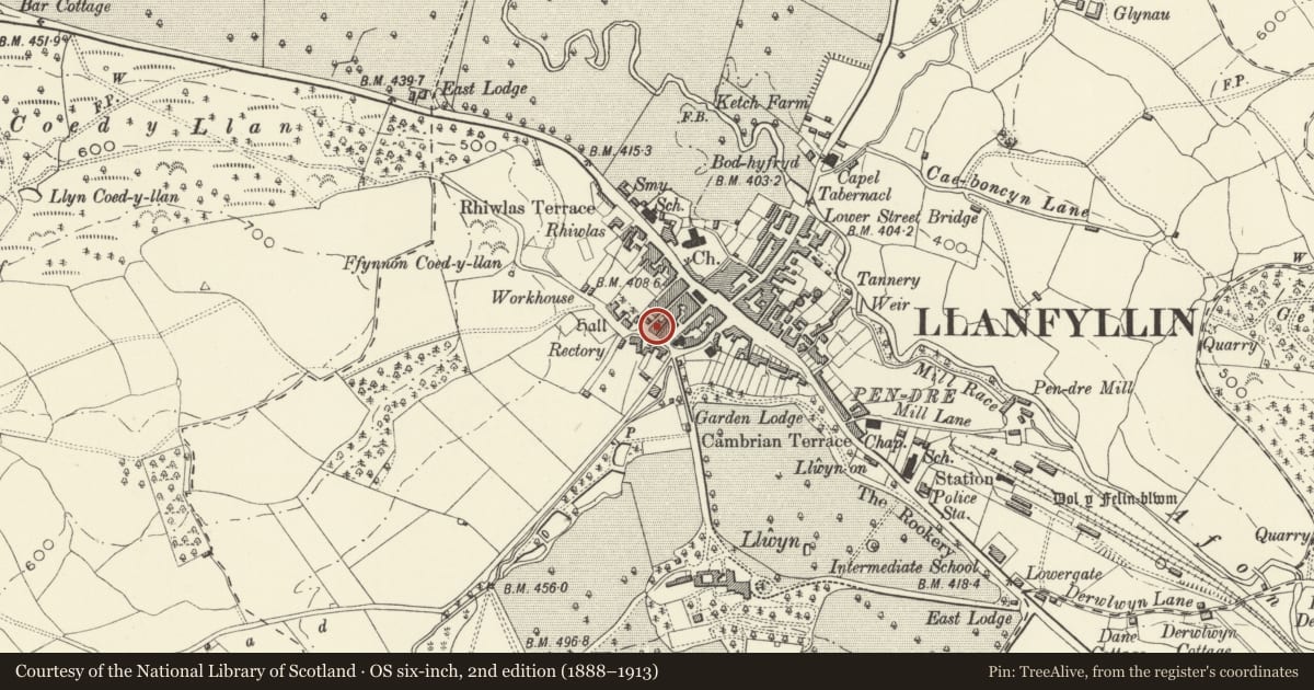 Ordnance Survey six-inch map, 2nd edition (1888–1913) covering the location of The Manor House, Llanfyllin, Powys, with a pin at the register's coordinates