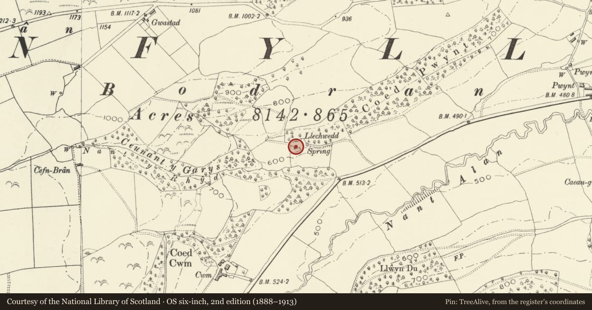 Ordnance Survey six-inch map, 2nd edition (1888–1913) covering the location of Llechwedd, Llanfyllin, Powys, with a pin at the register's coordinates