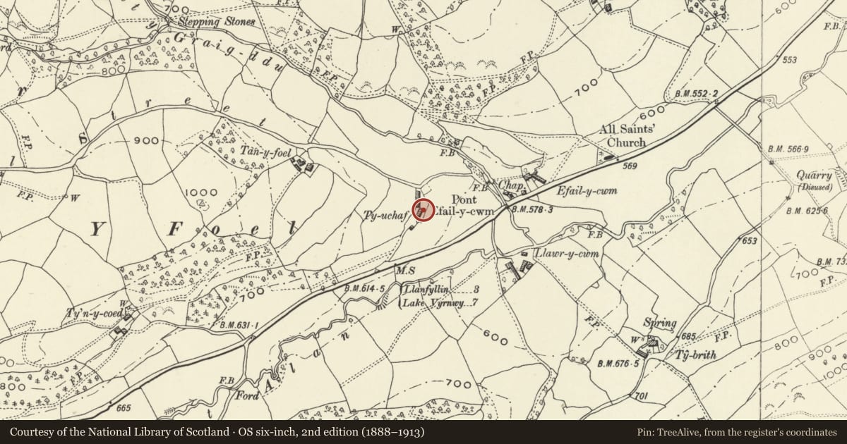 Ordnance Survey six-inch map, 2nd edition (1888–1913) covering the location of Llwynderw, Llanfyllin, Powys, with a pin at the register's coordinates
