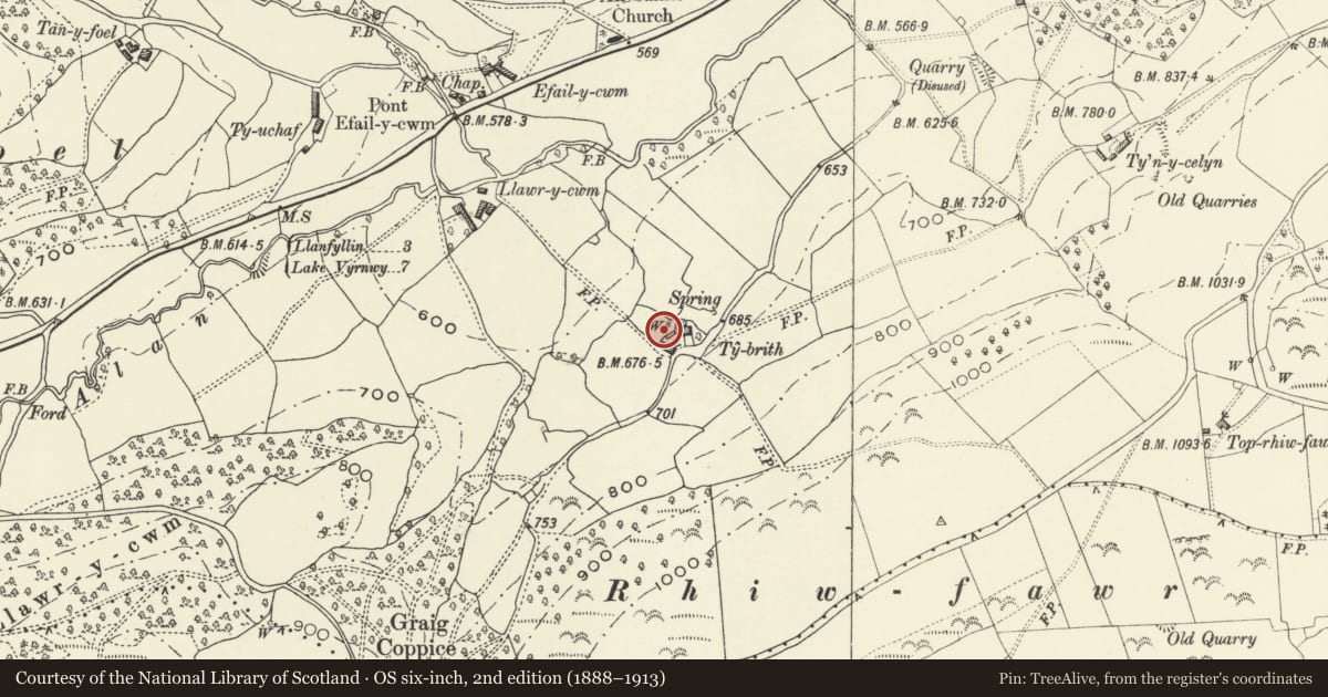 Ordnance Survey six-inch map, 2nd edition (1888–1913) covering the location of Barn at Ty Brith, Llanfyllin, Powys, with a pin at the register's coordinates