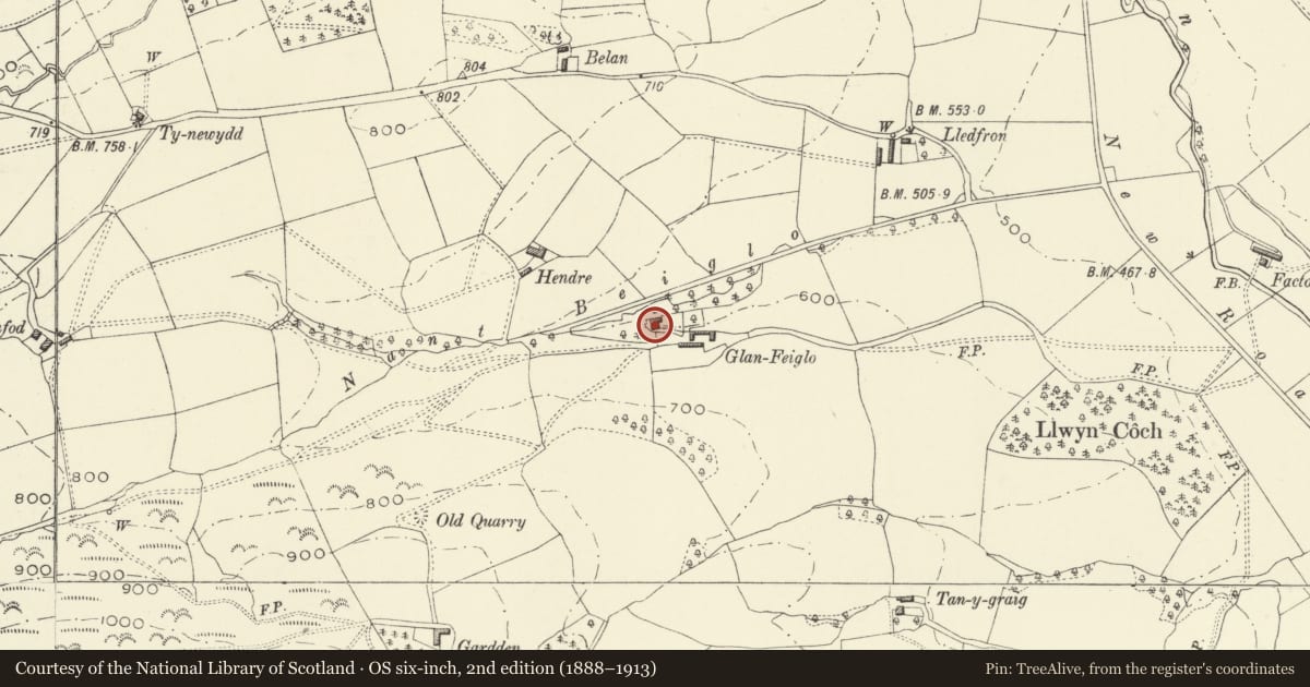 Ordnance Survey six-inch map, 2nd edition (1888–1913) covering the location of Glanfeiglo, Llanfyllin, Powys, with a pin at the register's coordinates