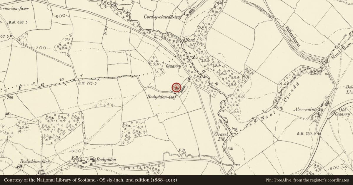 Ordnance Survey six-inch map, 2nd edition (1888–1913) covering the location of Bodyddan Isaf, Llanfyllin, Powys, with a pin at the register's coordinates