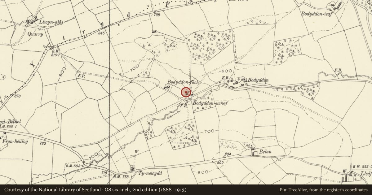 Ordnance Survey six-inch map, 2nd edition (1888–1913) covering the location of Bodyddan Uchaf, Llanfyllin, Powys, with a pin at the register's coordinates
