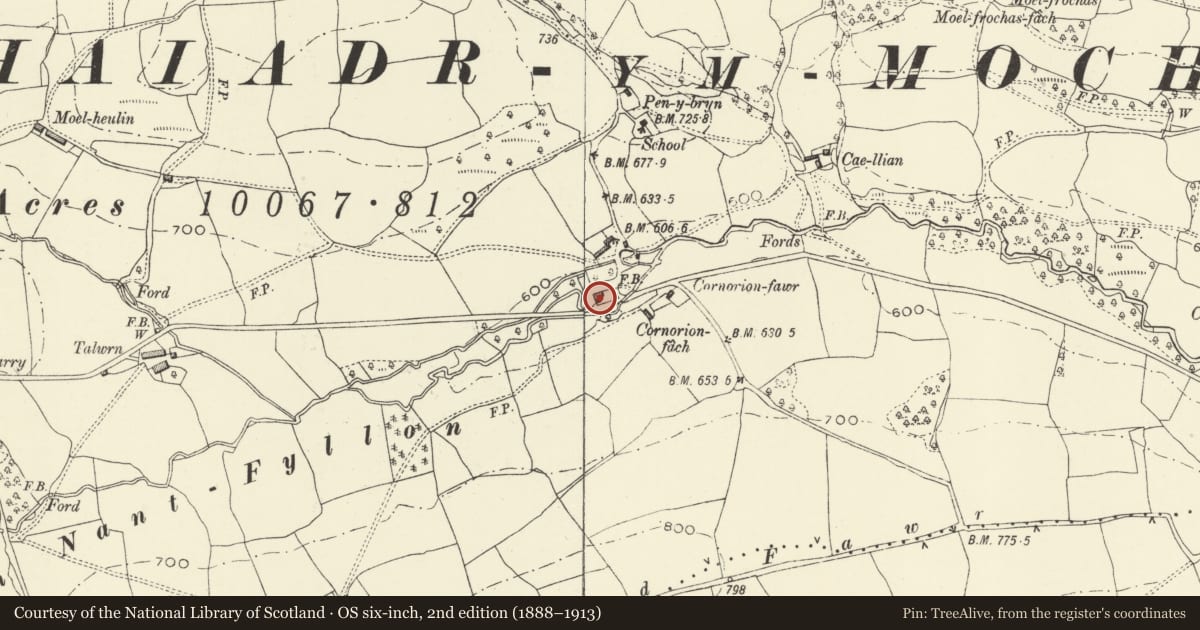 Ordnance Survey six-inch map, 2nd edition (1888–1913) covering the location of Cornorion Fawr, Llanfyllin, Powys, with a pin at the register's coordinates