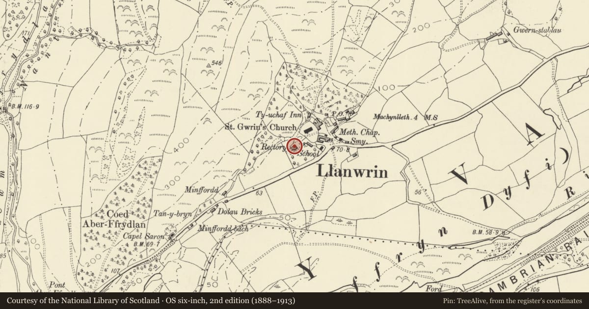 Ordnance Survey six-inch map, 2nd edition (1888–1913) covering the location of Plas Wrin, Glantwymyn, Powys, with a pin at the register's coordinates
