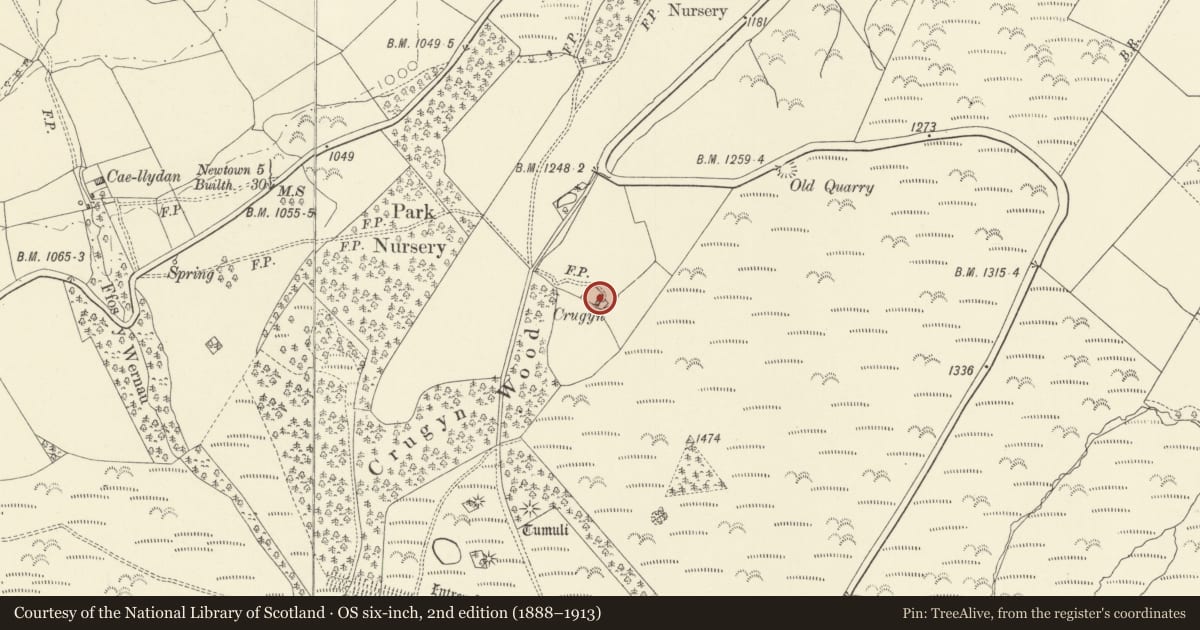 Ordnance Survey six-inch map, 2nd edition (1888–1913) covering the location of Crugyn, Kerry, Powys, with a pin at the register's coordinates