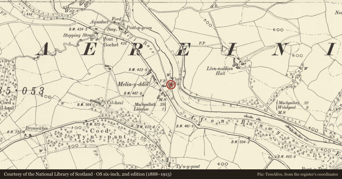 Ordnance Survey six-inch map, 2nd edition (1888–1913) covering the location of Melin-y-ddol, Llanfair Caereinion, Powys, with a pin at the register's coordinates