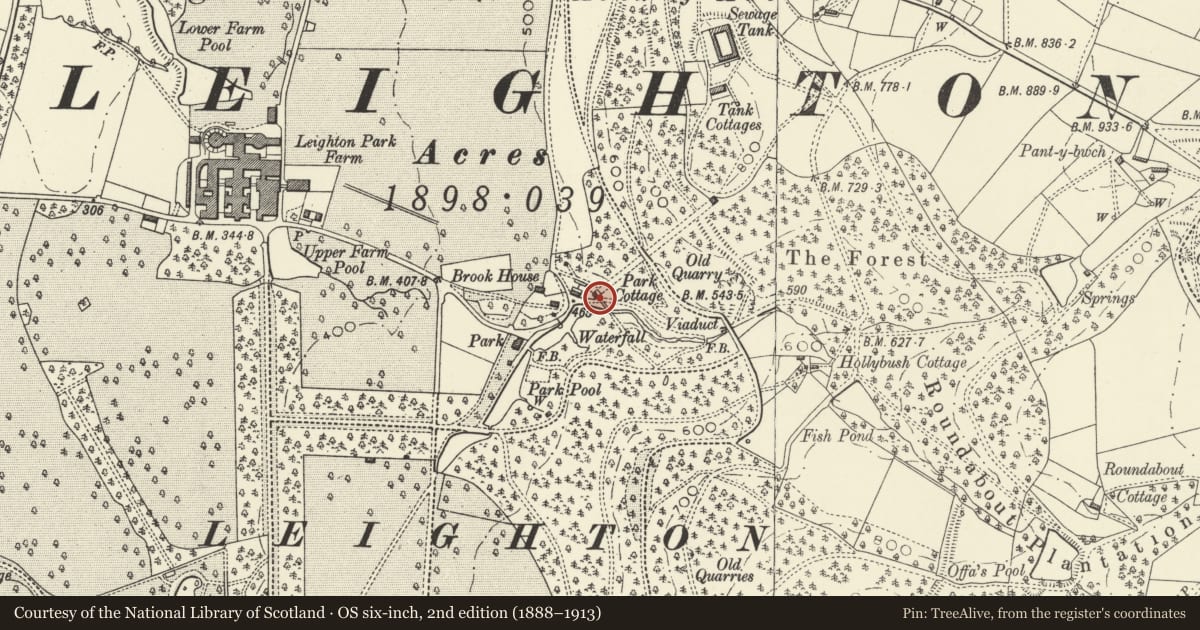 Ordnance Survey six-inch map, 2nd edition (1888–1913) covering the location of The Old Cable House, Forden with Leighton and Trelystan, Powys, with a pin at the register's coordinates