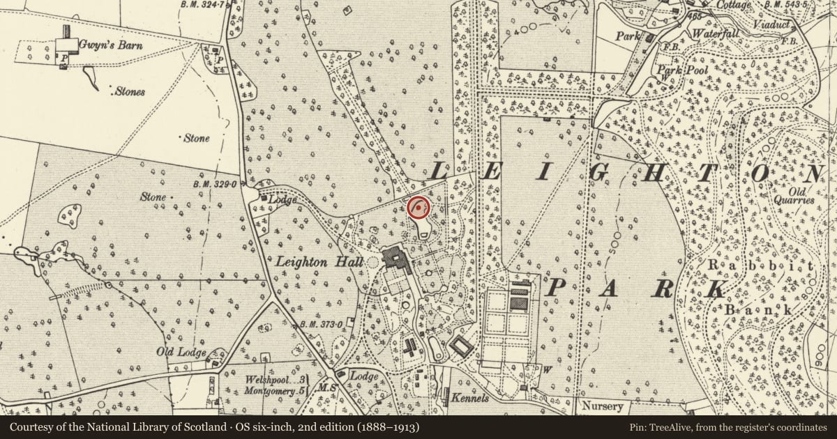 Ordnance Survey six-inch map, 2nd edition (1888–1913) covering the location of Statue of Icarus in Serpentine Pond to NE of Leighton Hall, Forden with Leighton and Trelystan, Powys, with a pin at the register's coordinates