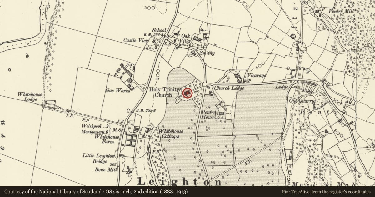 Ordnance Survey six-inch map, 2nd edition (1888–1913) covering the location of Church of the Holy Trinity, Leighton, Forden with Leighton and Trelystan, Powys, with a pin at the register's coordinates