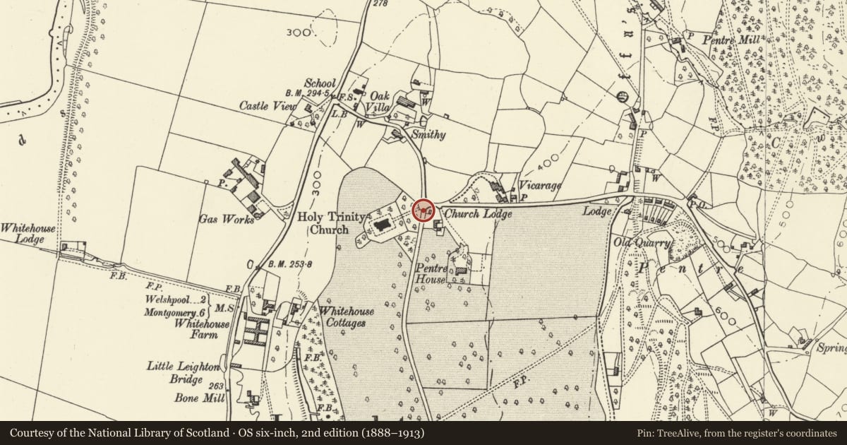 Ordnance Survey six-inch map, 2nd edition (1888–1913) covering the location of Gateway at the N entrance to Leighton Farm, Forden with Leighton and Trelystan, Powys, with a pin at the register's coordinates