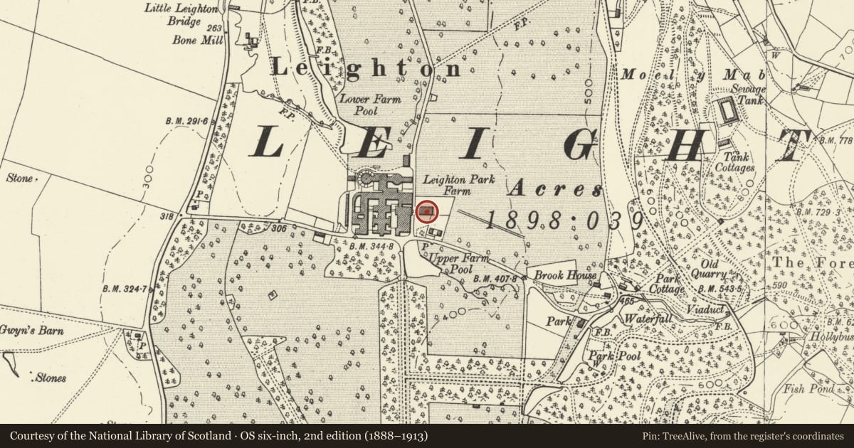 Ordnance Survey six-inch map, 2nd edition (1888–1913) covering the location of Fodder Storage Building NE of former Root Shed, Leighton Farm, Forden with Leighton and Trelystan, Powys, with a pin at the register's coordinates