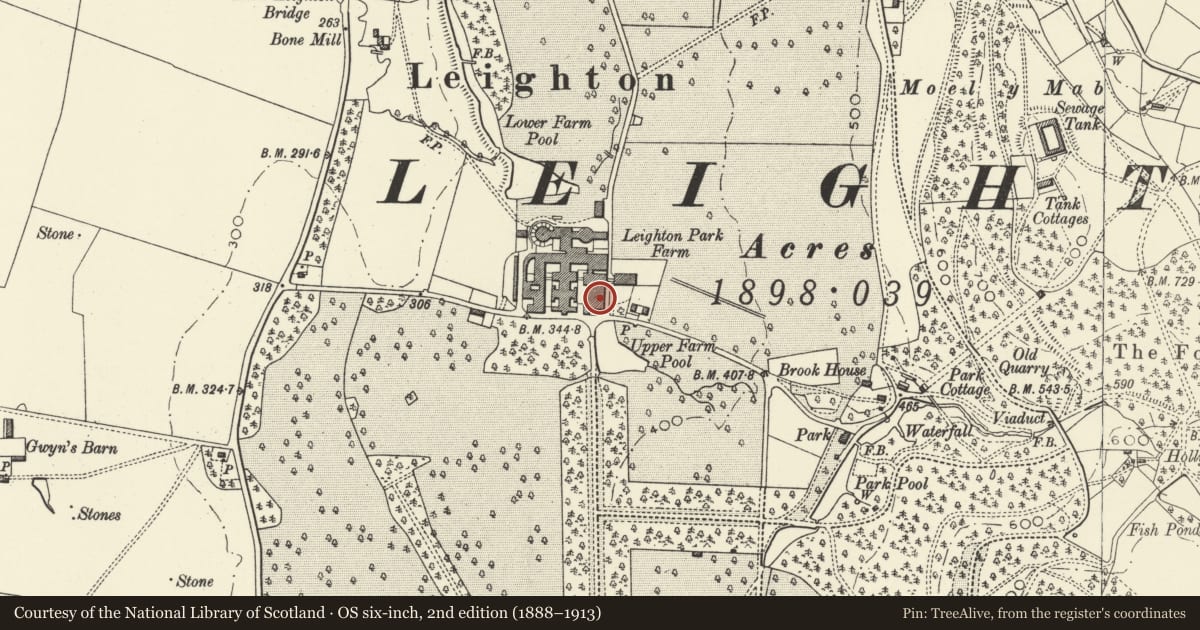 Ordnance Survey six-inch map, 2nd edition (1888–1913) covering the location of Former Root Shed, Leighton Farm, Forden with Leighton and Trelystan, Powys, with a pin at the register's coordinates