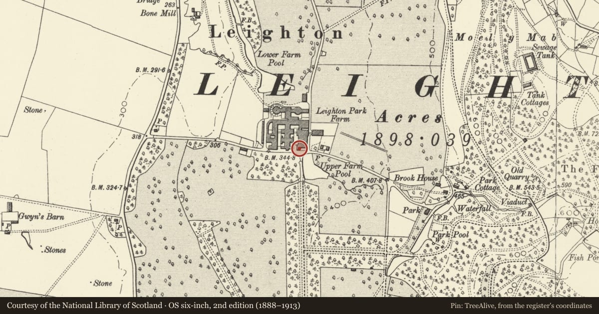 Ordnance Survey six-inch map, 2nd edition (1888–1913) covering the location of Maes-y-gro, Forden with Leighton and Trelystan, Powys, with a pin at the register's coordinates