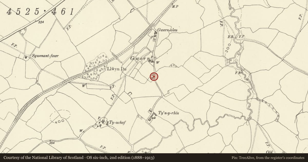 Ordnance Survey six-inch map, 2nd edition (1888–1913) covering the location of Wern Cottage, Llanfechain, Powys, with a pin at the register's coordinates