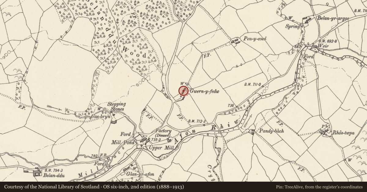 Ordnance Survey six-inch map, 2nd edition (1888–1913) covering the location of Gwernfyda (also known as Gwern-y-Fedw) including attached barns, Dwyriw, Powys, with a pin at the register's coordinates