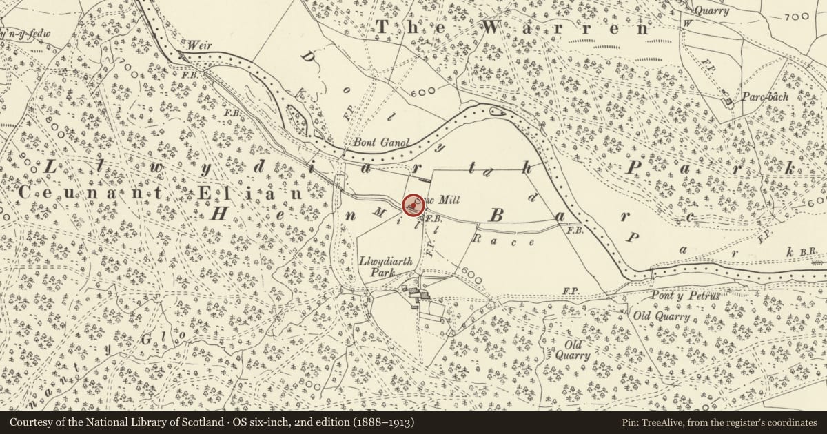 Ordnance Survey six-inch map, 2nd edition (1888–1913) covering the location of Llwydiarth Saw Mill, Banwy, Powys, with a pin at the register's coordinates