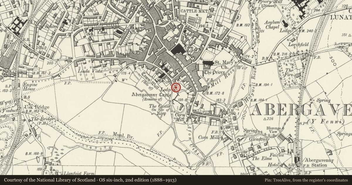 Ordnance Survey six-inch map, 2nd edition (1888–1913) covering the location of Wall, Gatepiers and Gates beside Lodge at entrance to Abergavenny Castle, Monmouthshire, with a pin at the register's coordinates