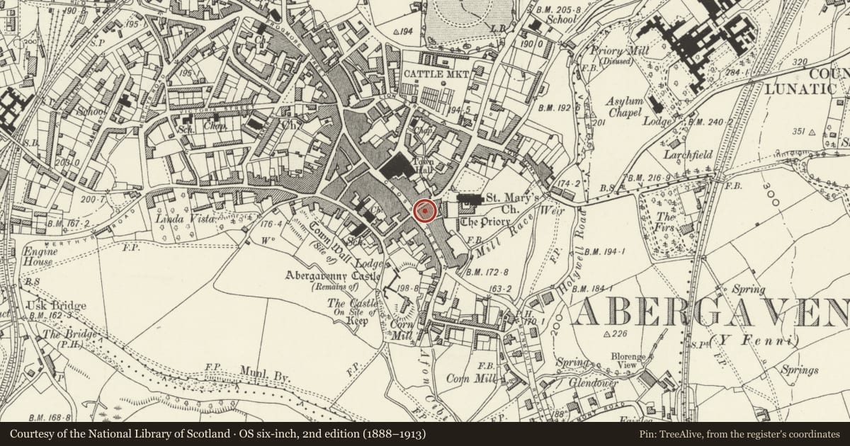 Ordnance Survey six-inch map, 2nd edition (1888–1913) covering the location of The Great George PH, Abergavenny, Monmouthshire, with a pin at the register's coordinates