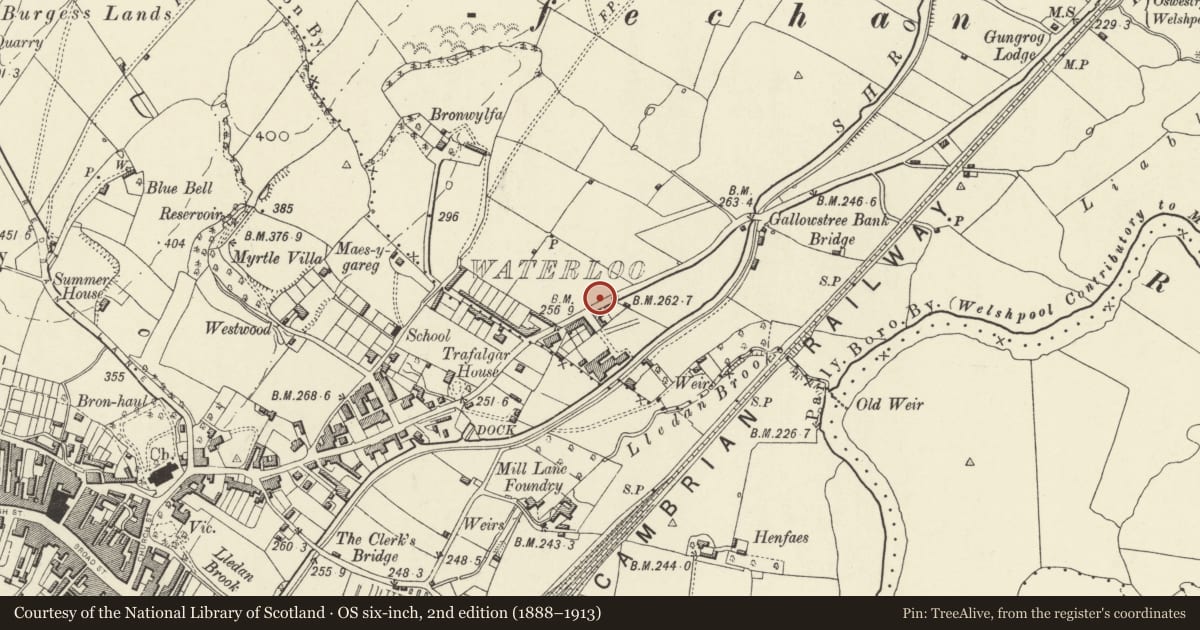 Ordnance Survey six-inch map, 2nd edition (1888–1913) covering the location of Pillar Box on corner with Erw Wen, Welshpool, Powys, with a pin at the register's coordinates