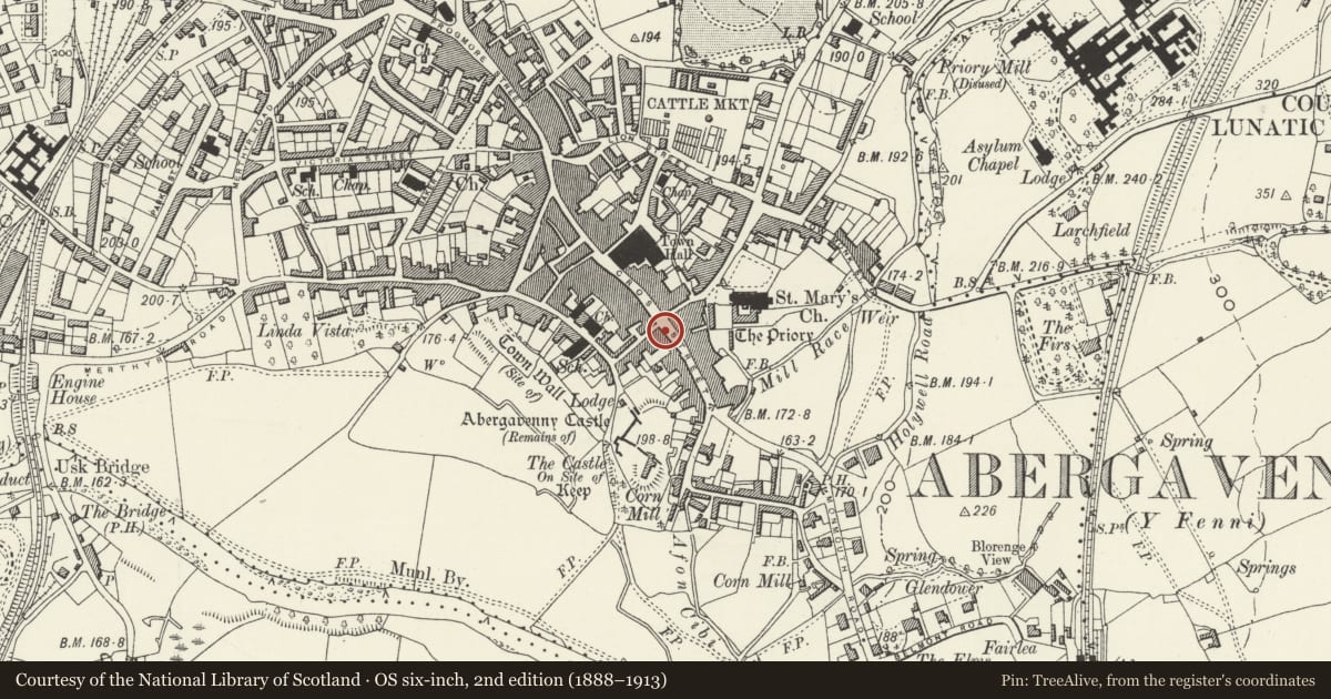 Ordnance Survey six-inch map, 2nd edition (1888–1913) covering the location of 16 Cross Street, Abergavenny, Monmouthshire, with a pin at the register's coordinates