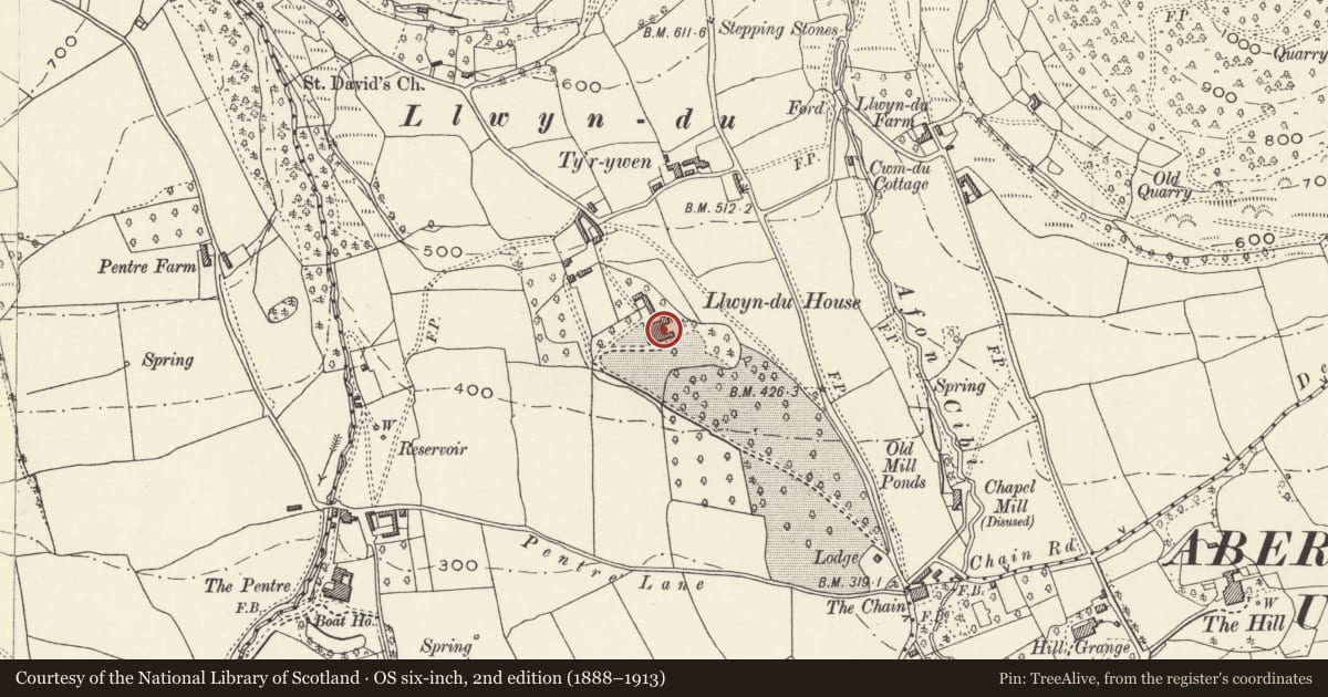 Ordnance Survey six-inch map, 2nd edition (1888–1913) covering the location of Llwyn-du Court, including steps, terrace and balustrade at entrance, Abergavenny, Monmouthshire, with a pin at the register's coordinates