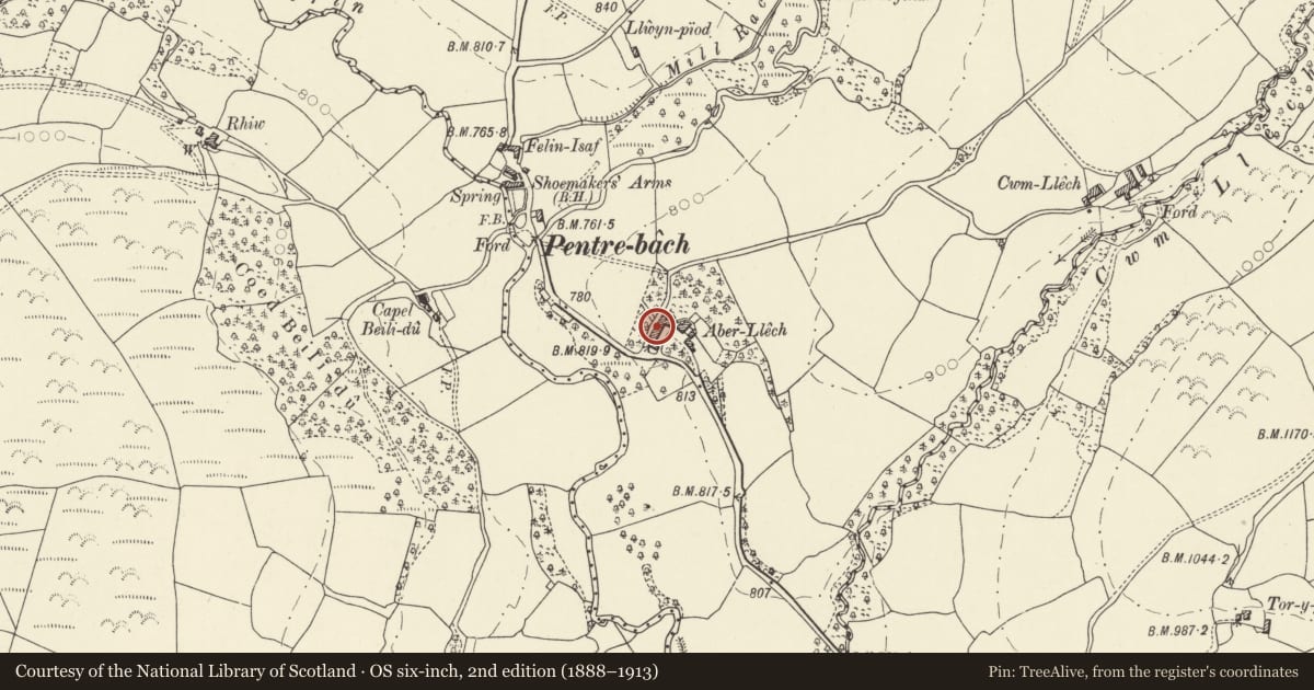Ordnance Survey six-inch map, 2nd edition (1888–1913) covering the location of Brewhouse at Aberllech, Maescar, Powys, with a pin at the register's coordinates