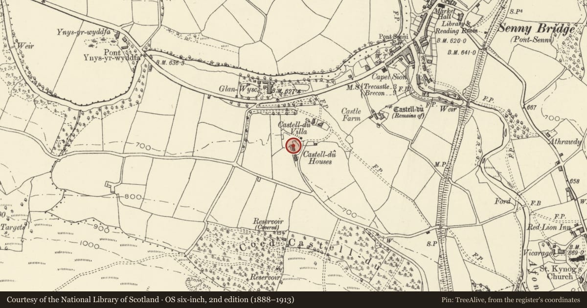 Ordnance Survey six-inch map, 2nd edition (1888–1913) covering the location of Castle Du Cottage, Maescar, Powys, with a pin at the register's coordinates