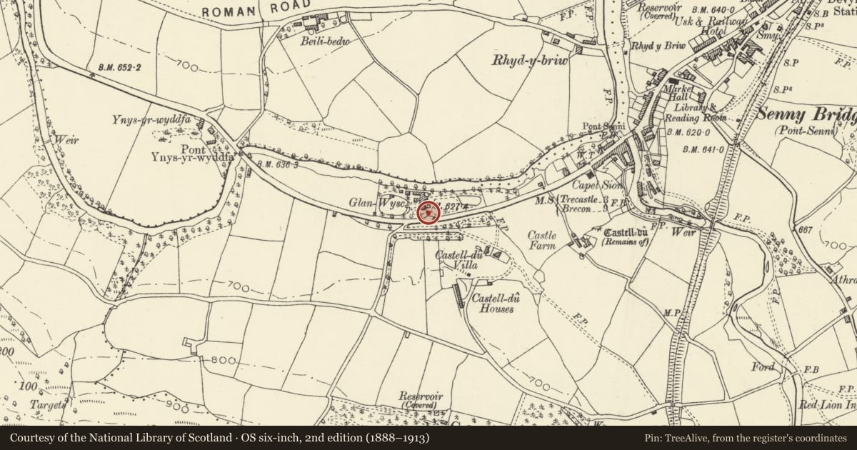 Ordnance Survey six-inch map, 2nd edition (1888–1913) covering the location of Gates, piers and walls at entrance to Glanwysg, Maescar, Powys, with a pin at the register's coordinates