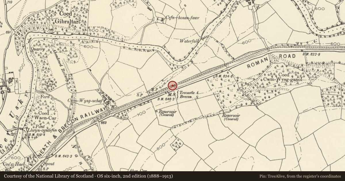 Ordnance Survey six-inch map, 2nd edition (1888–1913) covering the location of Milestone E of Sennybridge, Maescar, Powys, with a pin at the register's coordinates