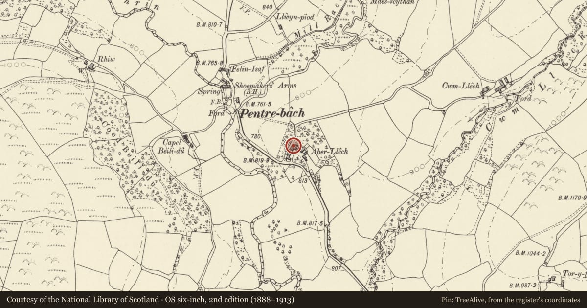 Ordnance Survey six-inch map, 2nd edition (1888–1913) covering the location of Outbuildings to NW of Aberllech, Maescar, Powys, with a pin at the register's coordinates