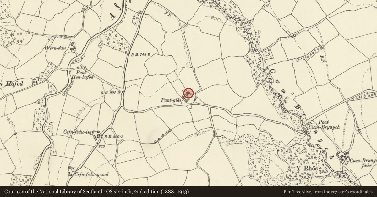 Ordnance Survey six-inch map, 2nd edition (1888–1913) covering the location of Pantglas, Maescar, Powys, with a pin at the register's coordinates