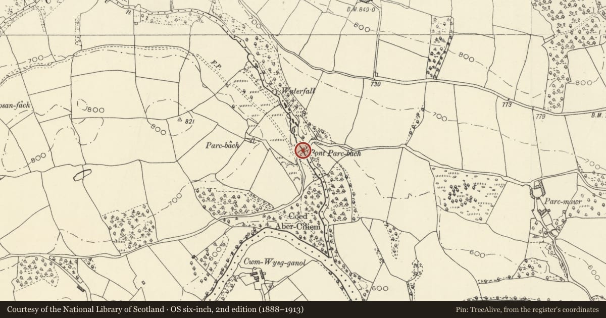 Ordnance Survey six-inch map, 2nd edition (1888–1913) covering the location of Pont Parc Bach (partly in Trallong community), Maescar, Powys, with a pin at the register's coordinates