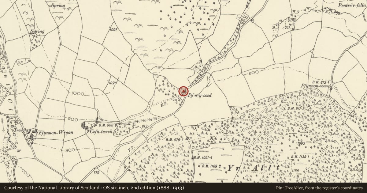 Ordnance Survey six-inch map, 2nd edition (1888–1913) covering the location of Tynycoed, Maescar, Powys, with a pin at the register's coordinates