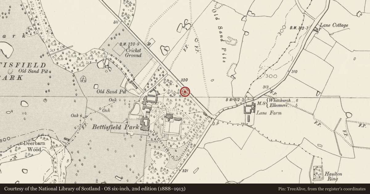 Ordnance Survey six-inch map, 2nd edition (1888–1913) covering the location of Boundary wall and gateway to NE side of Bettisfield Park, Hanmer, Wrexham, with a pin at the register's coordinates